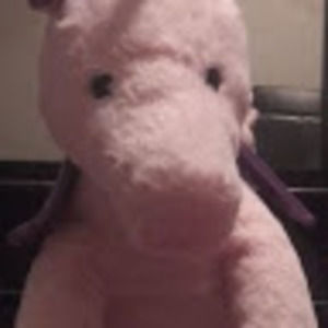 Meet your Posher, Ana